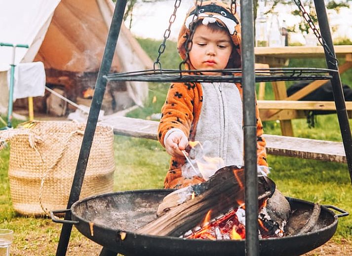 Guest house 293111 - Holiday property Achterhoek - Vakantiehuis in Haarlo