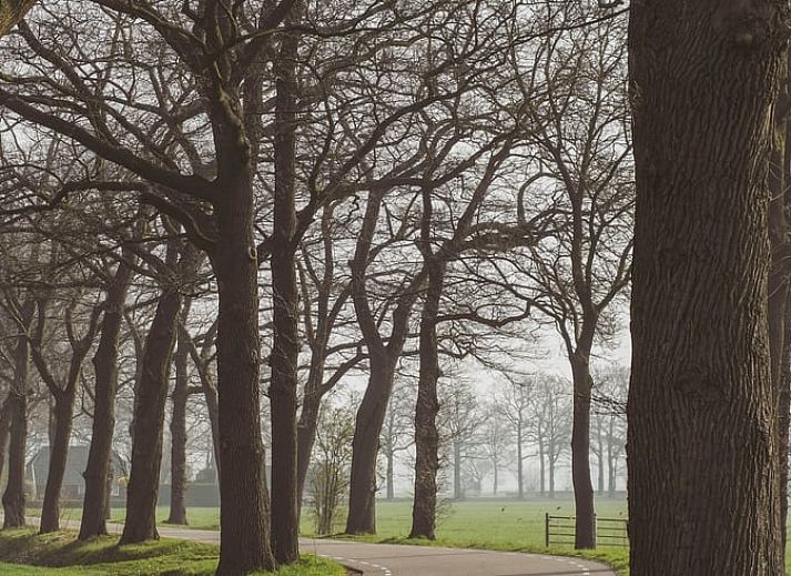 Heerlijke ontbijtbakery bij Vakantiehuisje in Haarlo, Achterhoek, Gelderland met verse croissants en kaneelbroodjes.