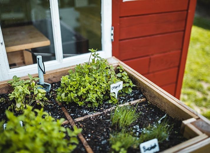 Sterrenhemel boven kampvuur bij Vakantiehuisje in Haarlo, Achterhoek, Gelderland voor een magische avond.