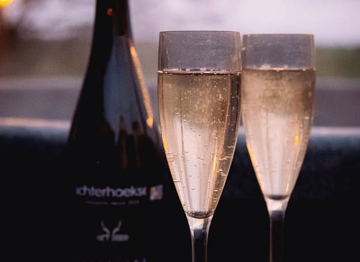 Warme chocolademelk en marshmallows bij kampvuur in Vakantiehuisje in Haarlo, Achterhoek, Gelderland.