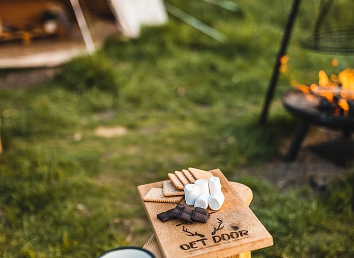 Warme chocolademelk en marshmallows bij kampvuur in Vakantiehuisje in Haarlo, Achterhoek, Gelderland.