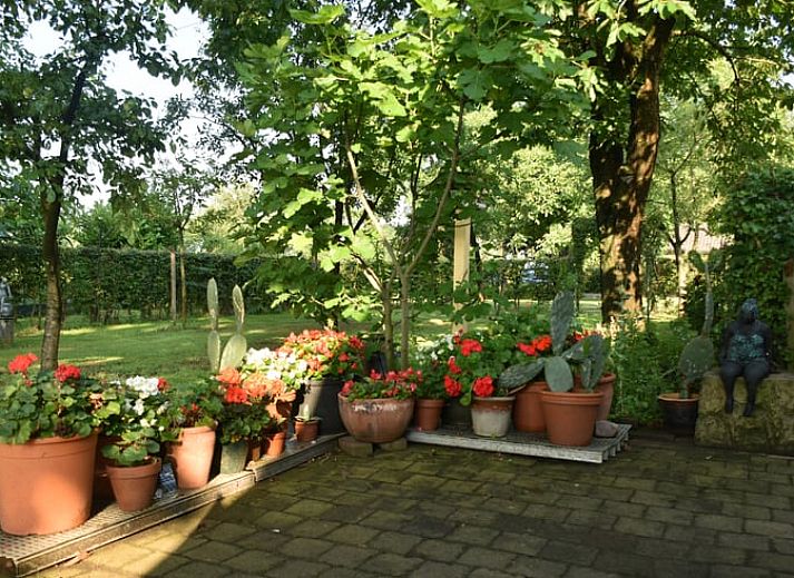 Binnenruimte van Vakantiehuis in Wichmond met uitzicht op de groene omgeving in de Achterhoek, Gelderland.