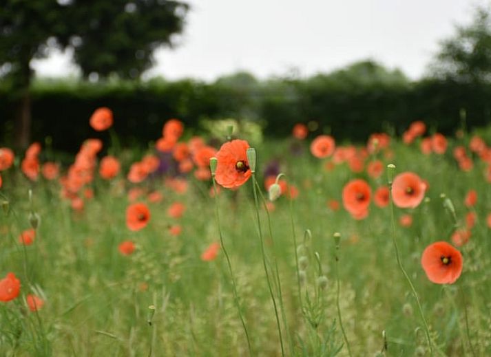 Sfeervolle slaapkamer in Vakantiehuis in Wichmond, perfect voor een rustgevende nacht in de Achterhoek, Gelderland.
