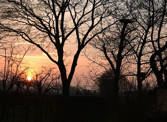 Sfeervolle slaapkamer in Vakantiehuis in Wichmond, perfect voor een rustgevende nacht in de Achterhoek, Gelderland.