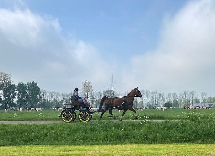 Sfeervolle slaapkamer in Vakantiehuis in Wichmond, perfect voor een rustgevende nacht in de Achterhoek, Gelderland.