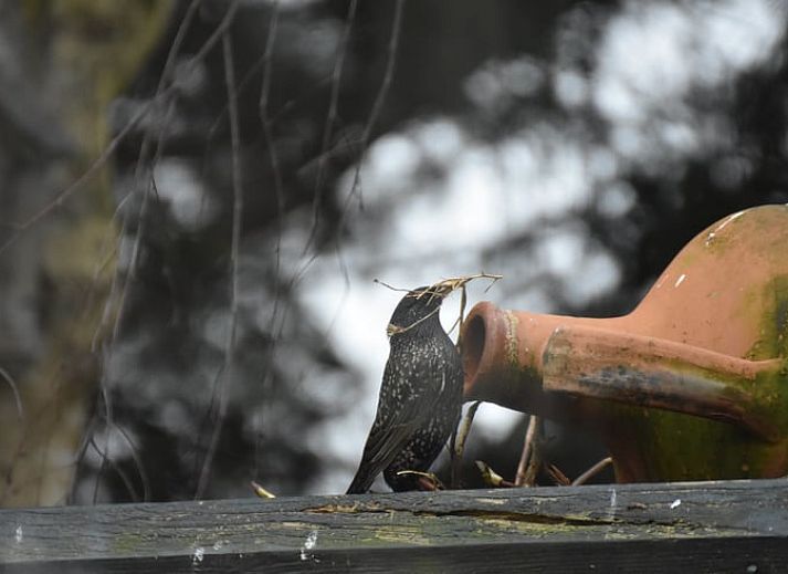 Vakantiehuis in Wichmond met aangrenzende badkamer, comfort en privacy in de Achterhoek, Gelderland.