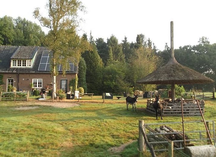 Unterkunft 293205 • Ferienhaus Achterhoek • Vakantiehuis in Wichmond