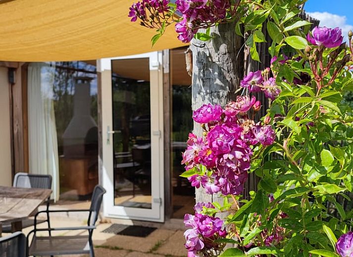 Outdoor terrace with sunshade at Cottage in Zutphen, vacation home in Achterhoek, Gelderland.