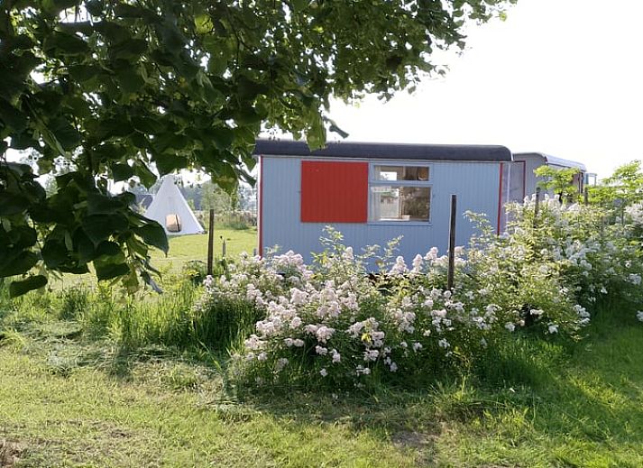 Guest house 293303 • Holiday property Achterhoek • Vakantiehuisje in Zutphen 