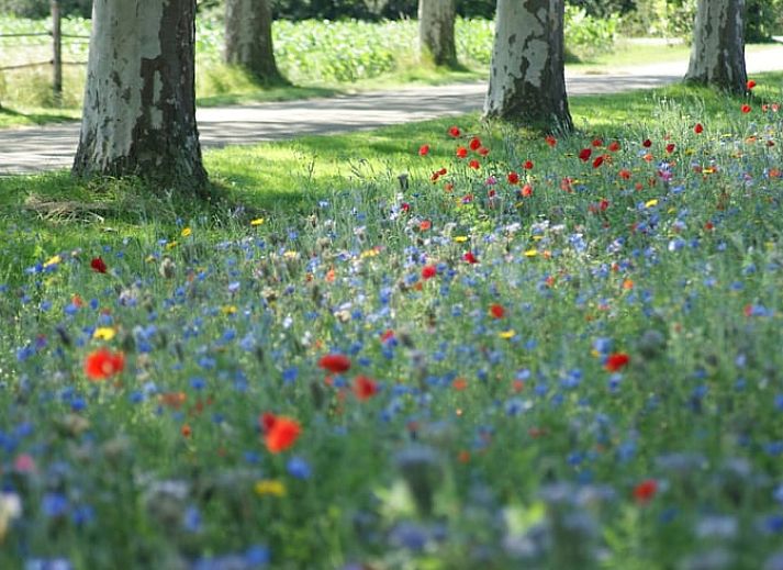 Stylish dining room in Holiday home in Zutphen, Gelderland, with wooden interior.