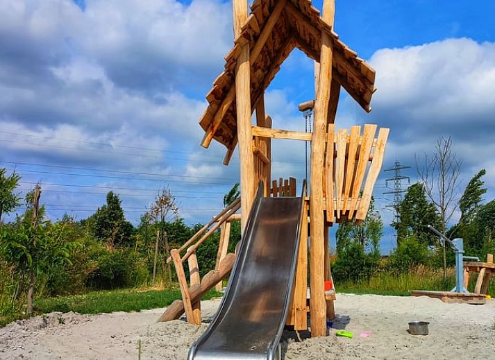 Sheep near cottage in Zutphen, Achterhoek, for a rural experience.