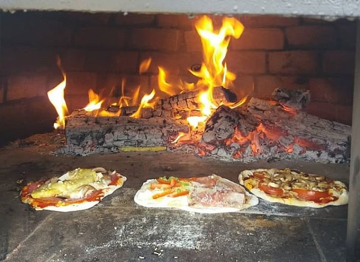 Sheep near cottage in Zutphen, Achterhoek, for a rural experience.