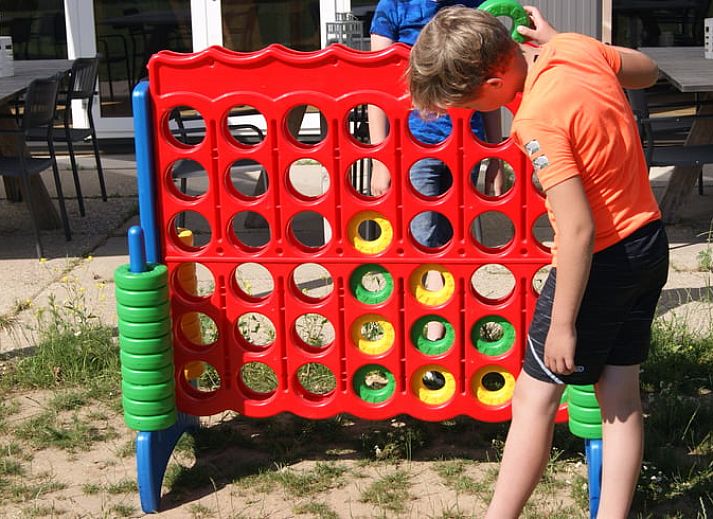 Sheep near cottage in Zutphen, Achterhoek, for a rural experience.