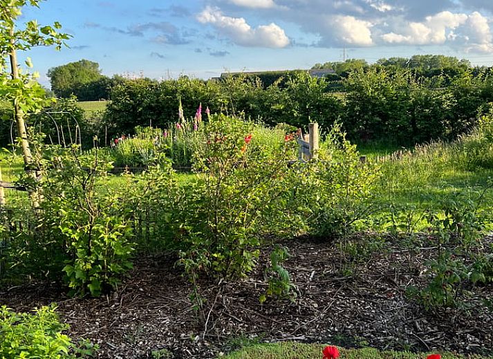 Vacation home in Zutphen with modern terrace surrounded by green nature in Achterhoek, Gelderland. Perfect for a relaxing stay.