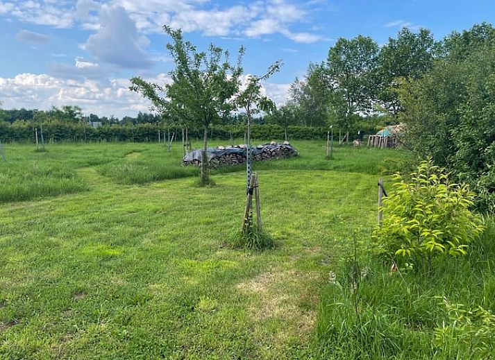 Enjoy the serene nature on the terrace of Holiday Home in Zutphen, located in the beautiful Achterhoek, Gelderland.