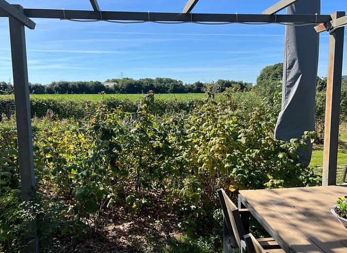 Enjoy the serene nature on the terrace of Holiday Home in Zutphen, located in the beautiful Achterhoek, Gelderland.