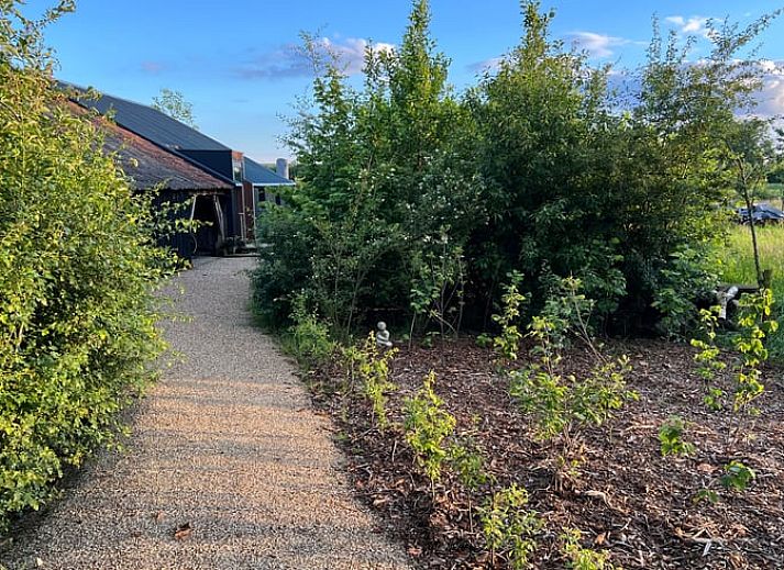 Enjoy the serene nature on the terrace of Holiday Home in Zutphen, located in the beautiful Achterhoek, Gelderland.