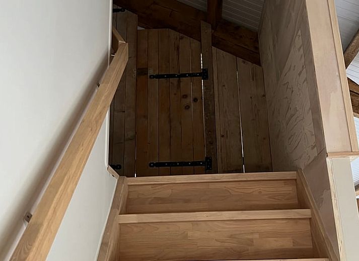 Cozy indoor area of Holiday Home in Zutphen, Achterhoek, Gelderland with fresh flowers and apples on the table.