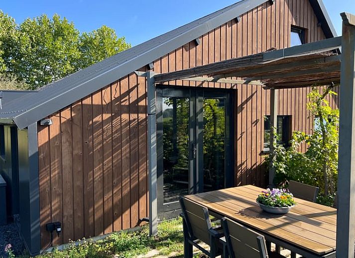 Cozy indoor area of Holiday Home in Zutphen, Achterhoek, Gelderland with fresh flowers and apples on the table.