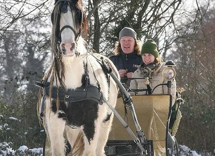 Dining area in Holiday home in Zutphen with modern kitchen, located in Achterhoek, Gelderland.