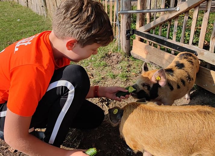 Attractive bedroom in Holiday home in Zutphen, perfect for rest in Achterhoek, Gelderland.
