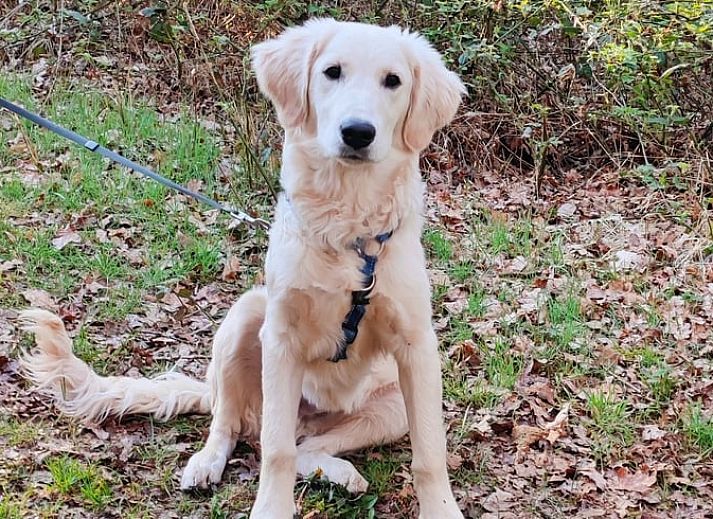 Attractive bedroom in Holiday home in Zutphen, perfect for rest in Achterhoek, Gelderland.