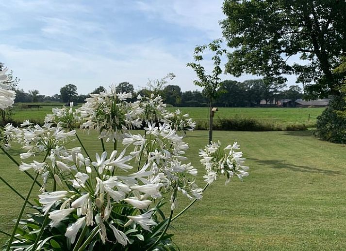 Guest house 293406 - Holiday property Achterhoek - Vakantiehuisje in Geesteren