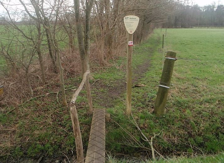 Guest house 293406 - Holiday property Achterhoek - Vakantiehuisje in Geesteren