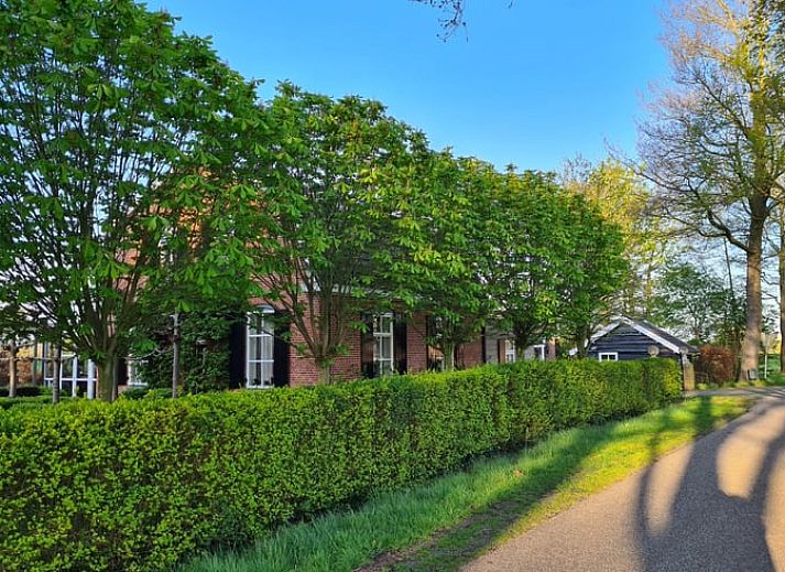 Geniessen Sie die Ruhe auf der Terrasse des Ferienhauses in Geesteren, das sich in Achterhoek, Gelderland befindet.