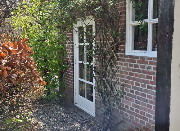 Entspannen Sie sich auf der Veranda des Ferienhauses in Geesteren, umgeben von ueppigem Gruen in der Region Achterhoek.