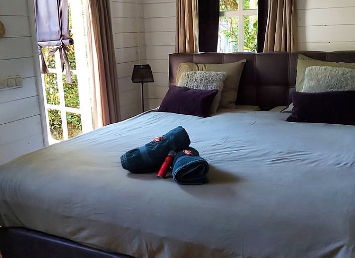 Entspannen Sie sich auf der Veranda des Ferienhauses in Geesteren, umgeben von ueppigem Gruen in der Region Achterhoek.