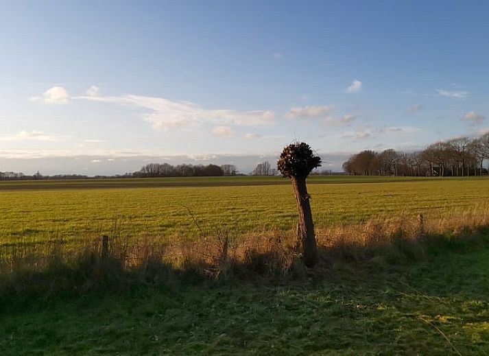 Das Ferienhaus in Geesteren bietet eine malerische Umgebung in der Region Achterhoek, ideal fuer einen ruhigen Urlaub.