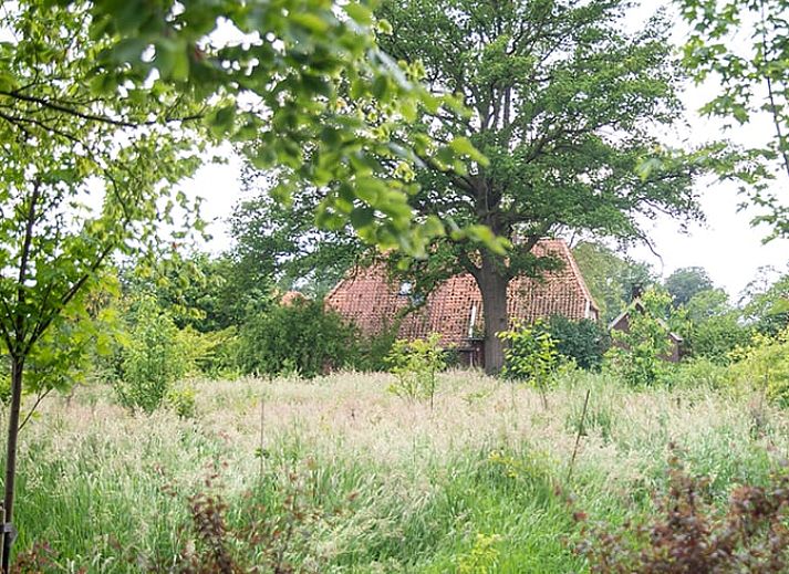 Huisje in Geesteren, vakantiehuis in Achterhoek, Gelderland omringd door bloemen en natuur.