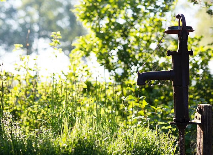 Gezellige woonkamer in Huisje in Geesteren, vakantiehuis in Achterhoek, Gelderland met comfortabele sofa.