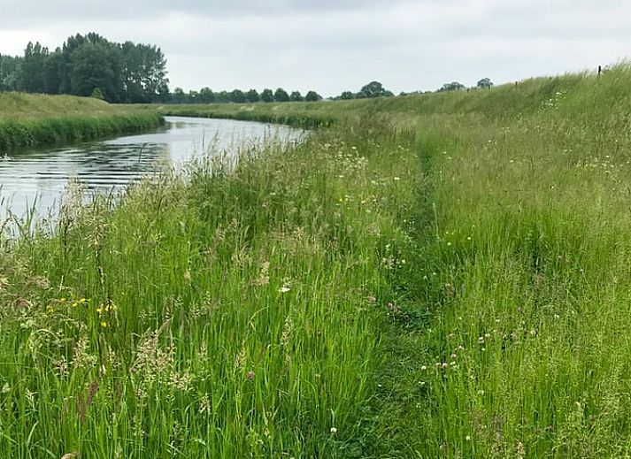 Gezellig zitje in de tuin van Vakantiehuis in Geesteren, Achterhoek.