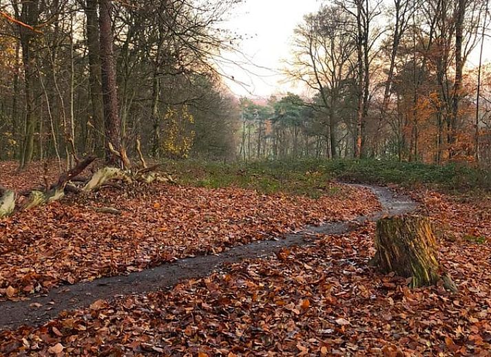 Lichte woonkamer van Vakantiehuis in Geesteren met uitzicht op de natuur.