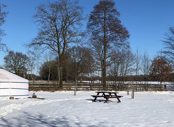 Verblijf 293411 - Vakantiewoning Achterhoek - Huisje in Geesteren vlak bij Borculo