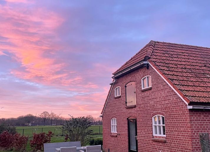 Cozy animal pasture at Holiday Home in Geesteren, located in the rustic Achterhoek region of Gelderland, surrounded by nature and rural charm.