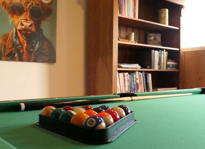 Relax in a vacation home in Geesteren, Achterhoek, with a pool table and cozy reading corner for a cozy vacation in Gelderland.