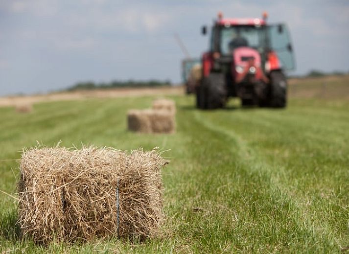 Charmantes Ferienhaus in Geesteren mit authentischer Backsteinfassade, gelegen im gruenen Geesteren, Achterhoek, Gelderland.