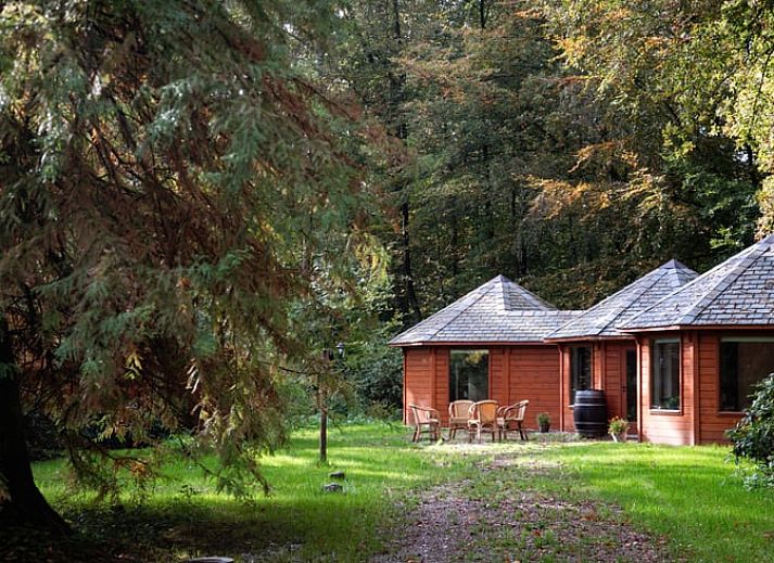 Verblijf 293517 • Vakantiewoning Achterhoek • Vakantiehuis in Vorden