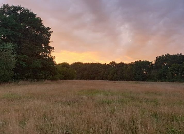 Cozy living room of Holiday Home in Vorden, Achterhoek, with large windows and views of the green nature of Gelderland.