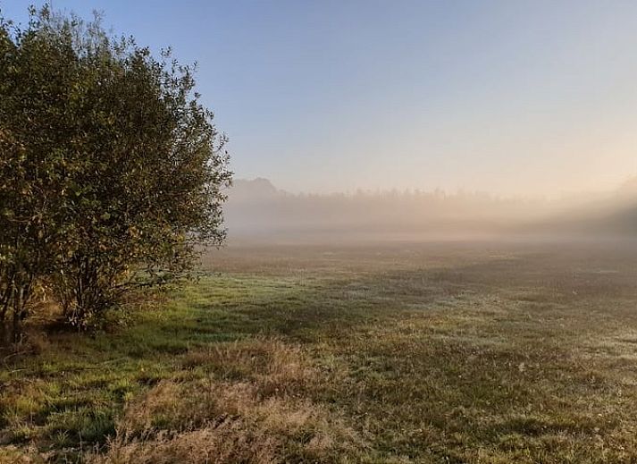 Cozy living room of Holiday Home in Vorden, Achterhoek, with large windows and views of the green nature of Gelderland.