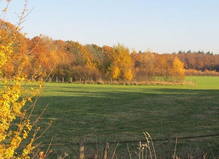Cozy living room of Holiday Home in Vorden, Achterhoek, with large windows and views of the green nature of Gelderland.