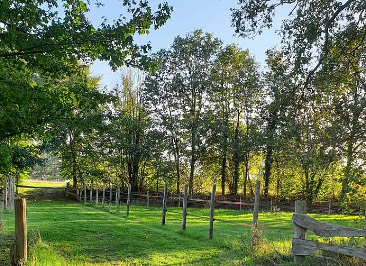 Cozy living room of Holiday Home in Vorden, Achterhoek, with large windows and views of the green nature of Gelderland.