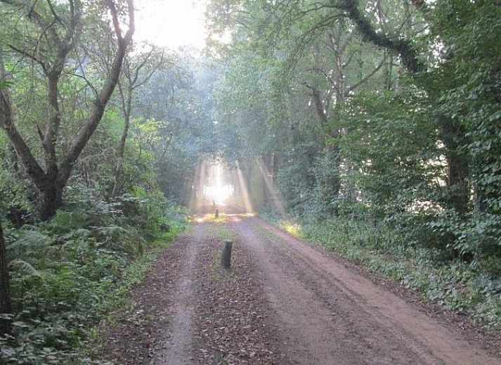 Cozy living room of Holiday Home in Vorden, Achterhoek, with large windows and views of the green nature of Gelderland.