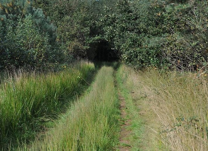 Cozy living room in Holiday Home in Vorden, Achterhoek, Gelderland with comfortable sofas and views of green nature.