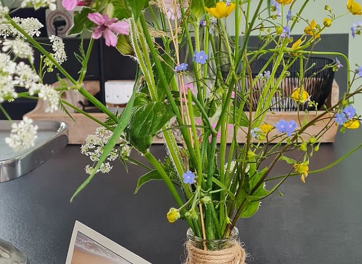 Guest house 293527 - Bed and Breakfast Achterhoek - Huisje in Vorden