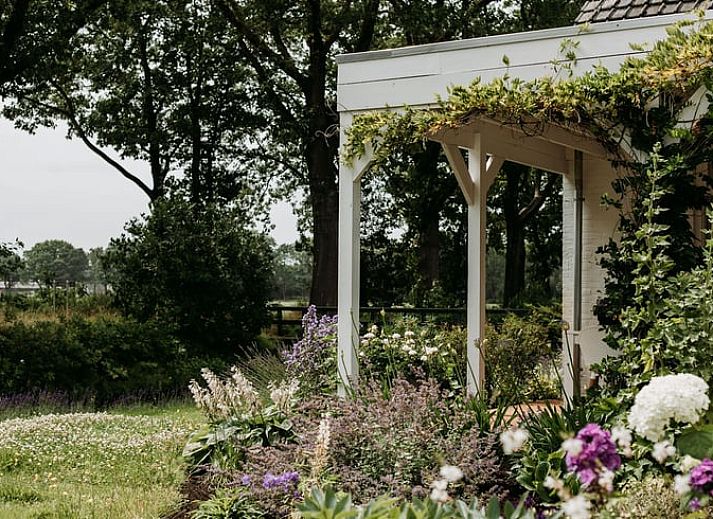 Unterkunft 293534 - Ferienhaus Achterhoek - Vakantiehuisje in Vorden