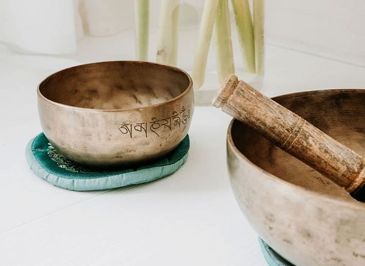 Unterkunft 293534 - Ferienhaus Achterhoek - Vakantiehuisje in Vorden